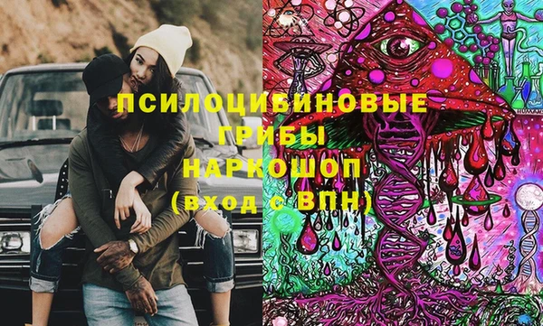 spice Лагань