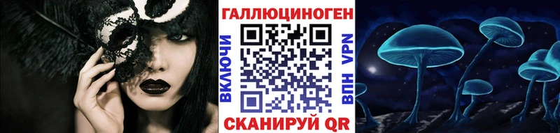 магазин продажи наркотиков  Старая Русса  Псилоцибиновые грибы Psilocybe 
