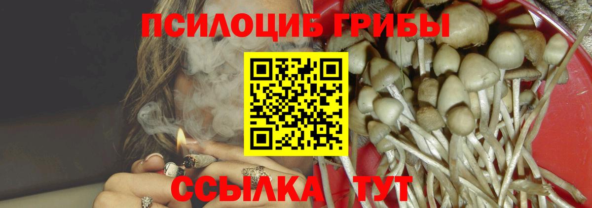 Псилоцибиновые грибы мухоморы  Старая Русса  Галлюциногенные грибы мицелий 
