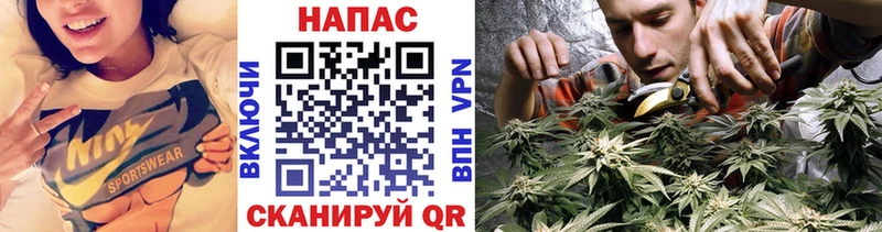 наркошоп  Старая Русса  Марихуана Bruce Banner 
